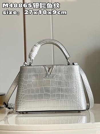 LV crossbody bag M48865 27*18*9CM