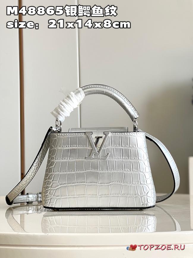 LV crossbody bag 01 M48865 21*14*8CM - 1