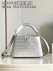 LV crossbody bag 01 M48865 21*14*8CM - 1