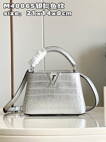LV crossbody bag 01 M48865 21*14*8CM
