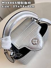 LV crossbody bag 01 M48865 21*14*8CM - 3