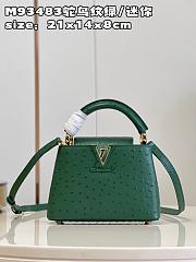 LV Capucines bag M93483 21*14*8cm - 1