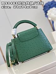 LV Capucines bag M93483 21*14*8cm - 6