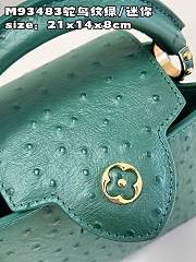 LV Capucines bag M93483 21*14*8cm - 5