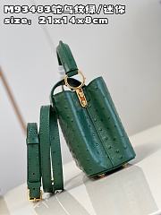 LV Capucines bag M93483 21*14*8cm - 4