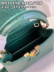 LV Capucines bag M93483 21*14*8cm - 2