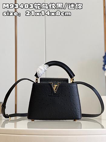 LV Capucines bag M93483 01 21*14*8cm
