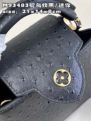 LV Capucines bag M93483 01 21*14*8cm - 5