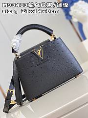 LV Capucines bag M93483 01 21*14*8cm - 3
