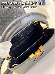 LV Capucines bag M93483 01 21*14*8cm - 2