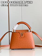 LV Capucines bag M93483 02 21*14*8cm - 1