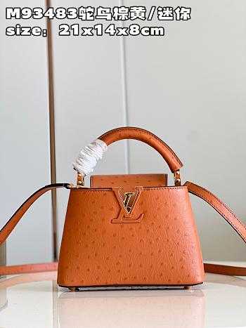 LV Capucines bag M93483 02 21*14*8cm
