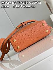 LV Capucines bag M93483 02 21*14*8cm - 5
