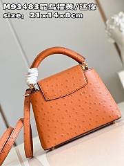 LV Capucines bag M93483 02 21*14*8cm - 3