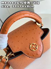 LV Capucines bag M93483 02 21*14*8cm - 2
