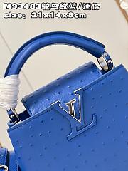 LV Capucines bag M93483 03 21*14*8cm - 6