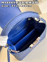 LV Capucines bag 04 M48865 21*14*8cm - 6