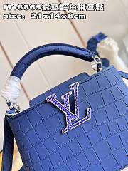 LV Capucines bag 04 M48865 21*14*8cm - 5