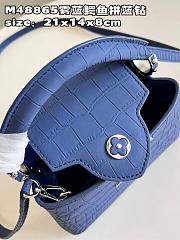 LV Capucines bag 04 M48865 21*14*8cm - 2