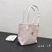 saint louis claire-voie 01 29cm*20cm*10cm - 4