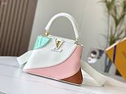 Capucines01  M59863 27 x 18 x 9CM - 1