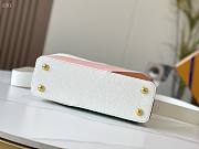 Capucines01  M59863 27 x 18 x 9CM - 3