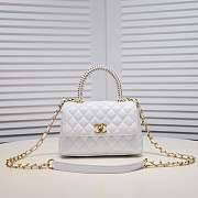 cocohandle mini03  22*14*9cm - 1