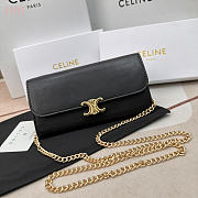 CELINE TRIOMPHE01 19x10cm - 1