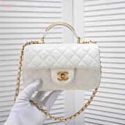 Chanel 22B  Mini CF handle01 20x12x6cm - 6