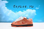Nike Dunk Low SB x Concepts Orange SB-FD8776-800 - 1