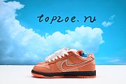 Nike Dunk Low SB x Concepts Orange SB-FD8776-800 - 5