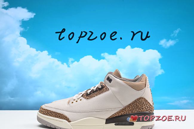 Nike Air Jordan 3  CT8532-102 - 1
