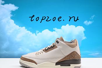 Nike Air Jordan 3  CT8532-102