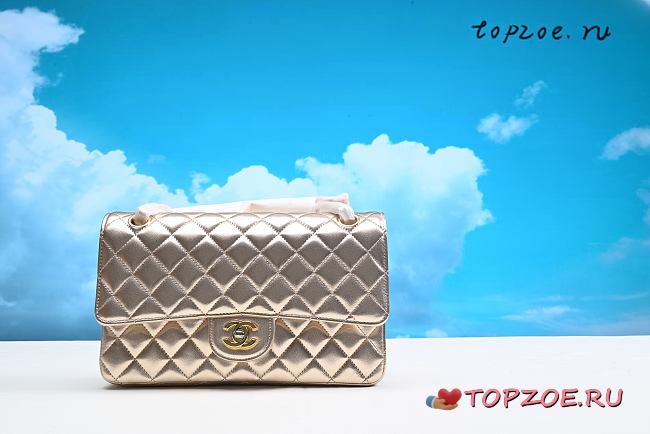 Chanel Medium Classic Double Flap Bag 25cm - 1