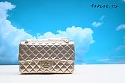 Chanel Medium Classic Double Flap Bag 25cm - 1