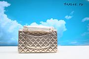 Chanel Medium Classic Double Flap Bag 25cm - 2