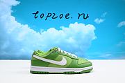 Nike Dunk Low Retro  DK-DJ6188-300 - 6