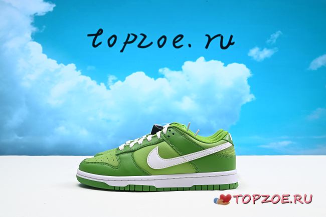 Nike Dunk Low Retro  DK-DJ6188-300 - 1