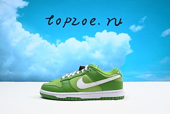 Nike Dunk Low Retro  DK-DJ6188-300