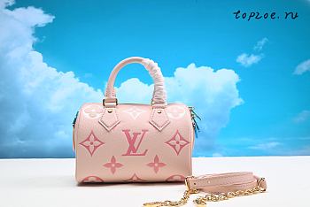 Louis Vuitton Damier Ebene Speedy 20 20x13.5x12cm
