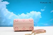 Louis Vuitton Damier Ebene Speedy 20 20x13.5x12cm - 2