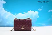 Chanel Shoulder Bag 12× 19 × 3.5 cm - 1