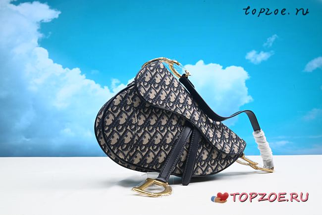 Dior 2001Trotter Saddle bag 25.5 x 20 x 6.5cm - 1