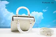LADY DIOR ULTRA MATTE 24cm - 4