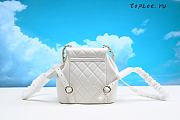 Chanel  22C duma 18×18×11cm - 2