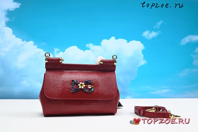 Dolce & Gabbana small bag 20CM - 1