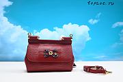 Dolce & Gabbana small bag 20CM - 1