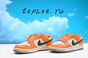 Nike Florida A University x Dunk Low 'Rattlers  DK-DR6188-800 - 4
