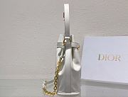 Dior Women Saddle Medium C’est Dior Bag 24 x 10 x 24.5 cm - 3