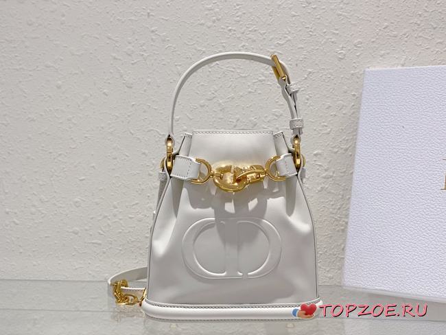 Dior Women Saddle Medium C’est Dior Bag01  17x 7x 18cm - 1